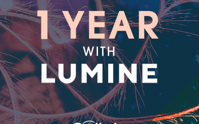One year with Lumine